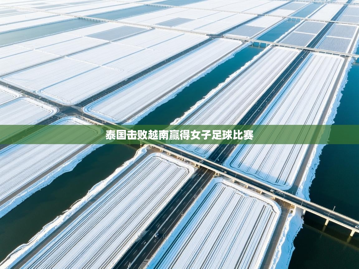 泰国击败越南赢得女子足球比赛 第1张